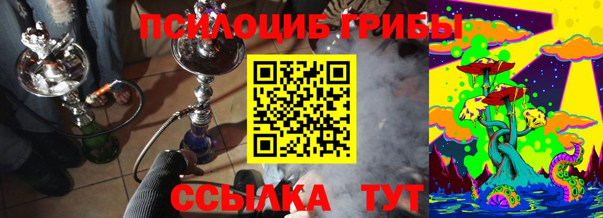 Галлюциногенные грибы Cubensis Альметьевск